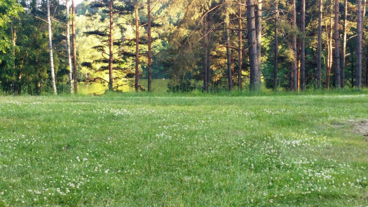 Domek * Ostróda